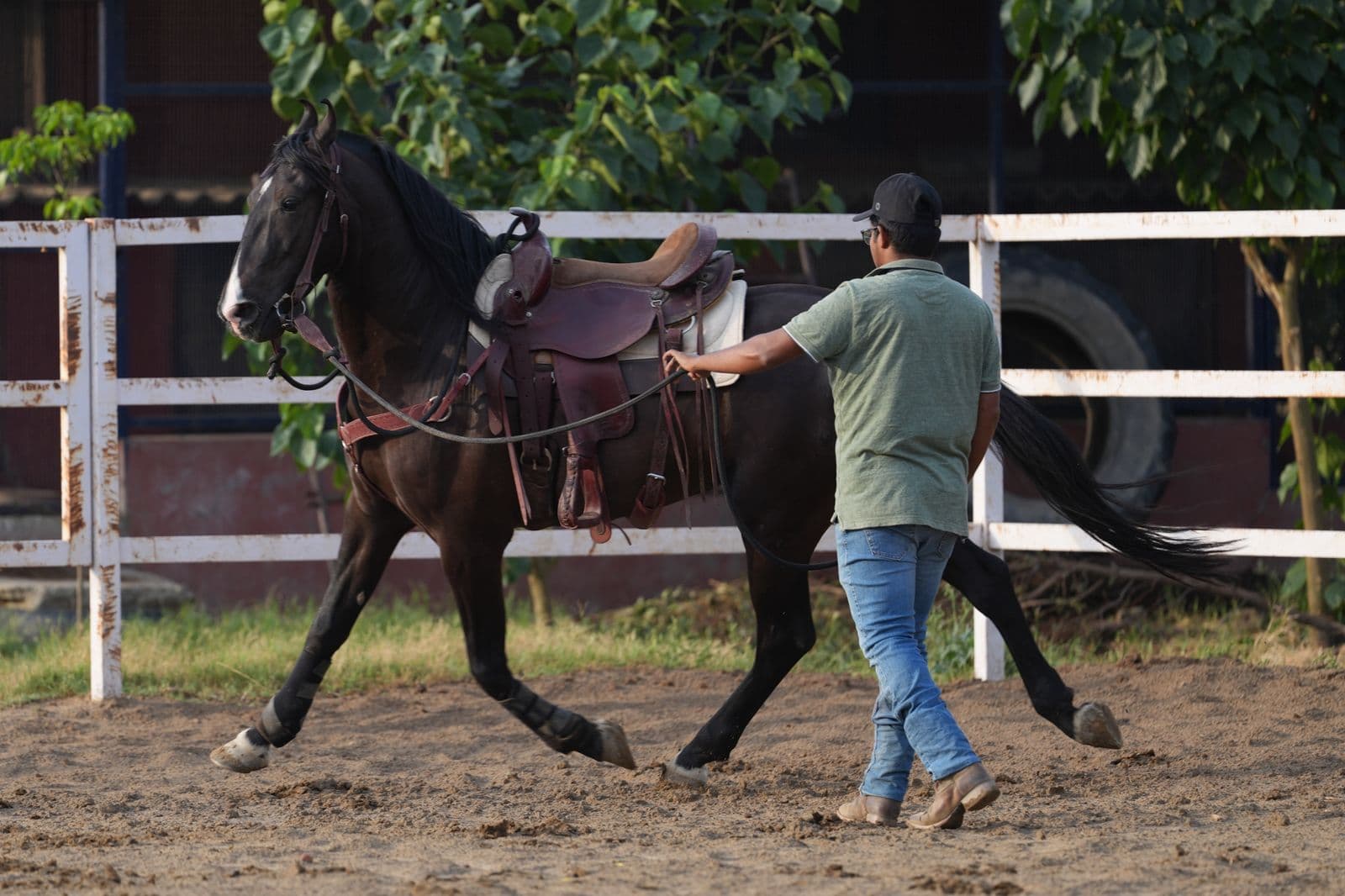 Inexperienced Horseman
