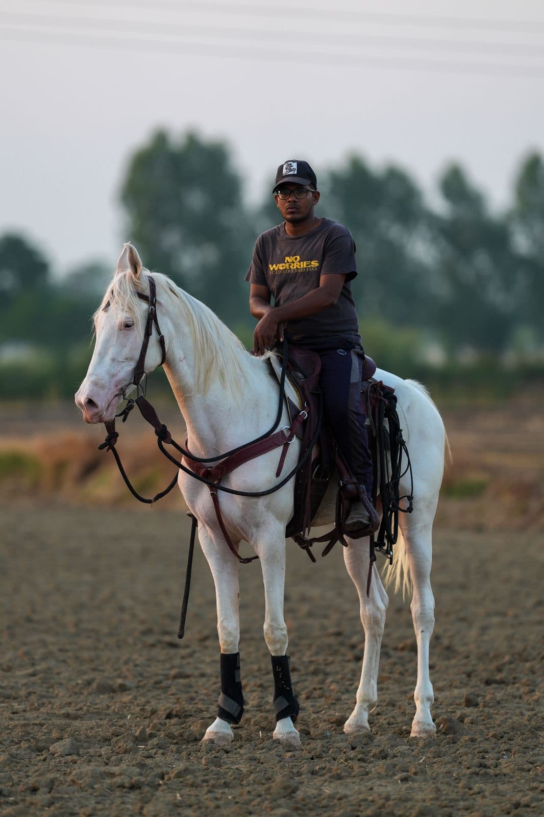 Horseman seated on white horse at golden hour