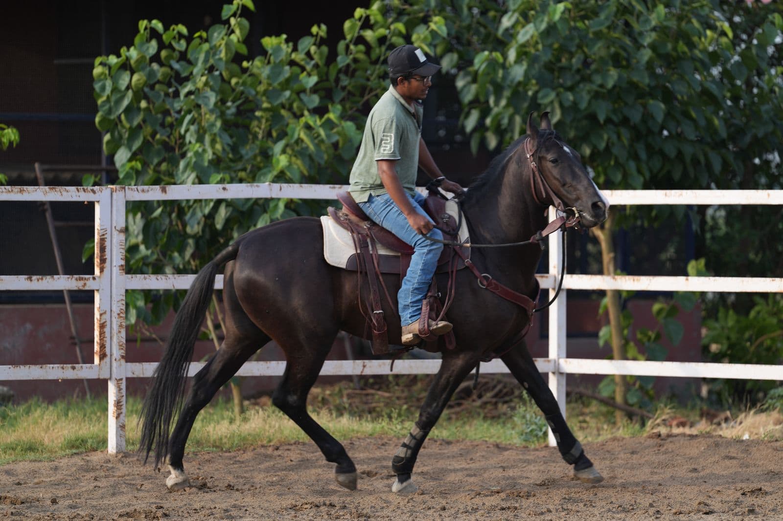 Problem Horses